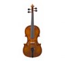 violi